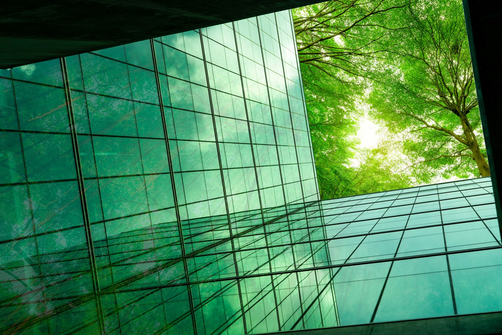 Arquitectura de vidrio integrada con árboles y luz natural